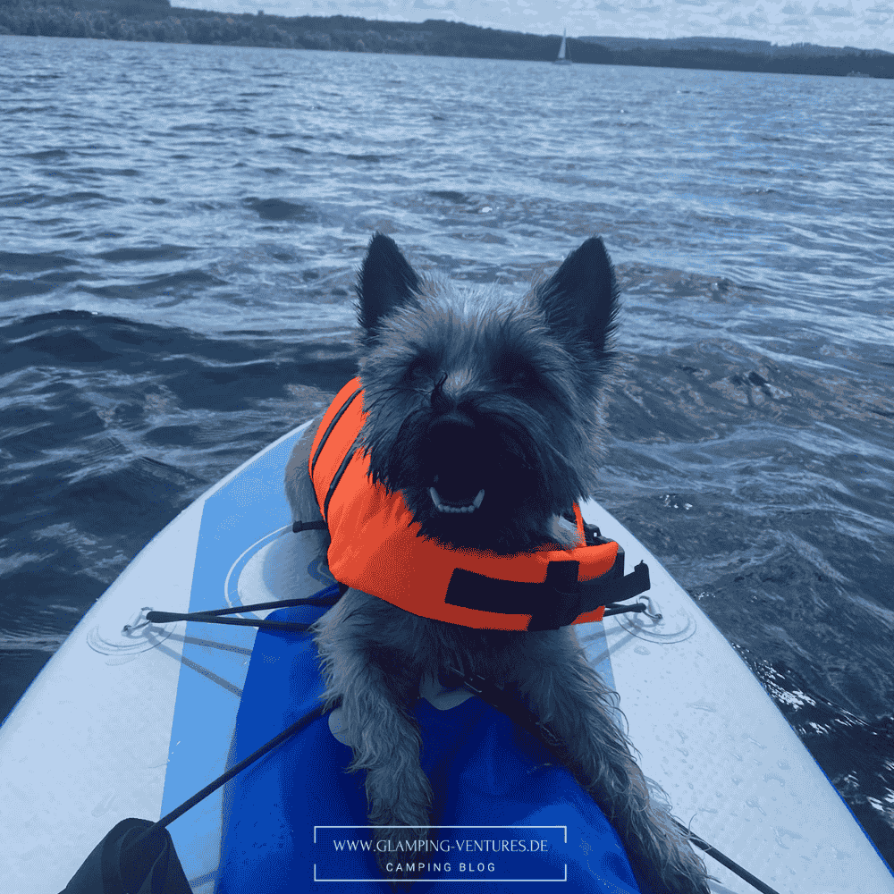 Hund beim Camping im Wohnmobil Aktivität SUP Fahren mit Schwimmweste