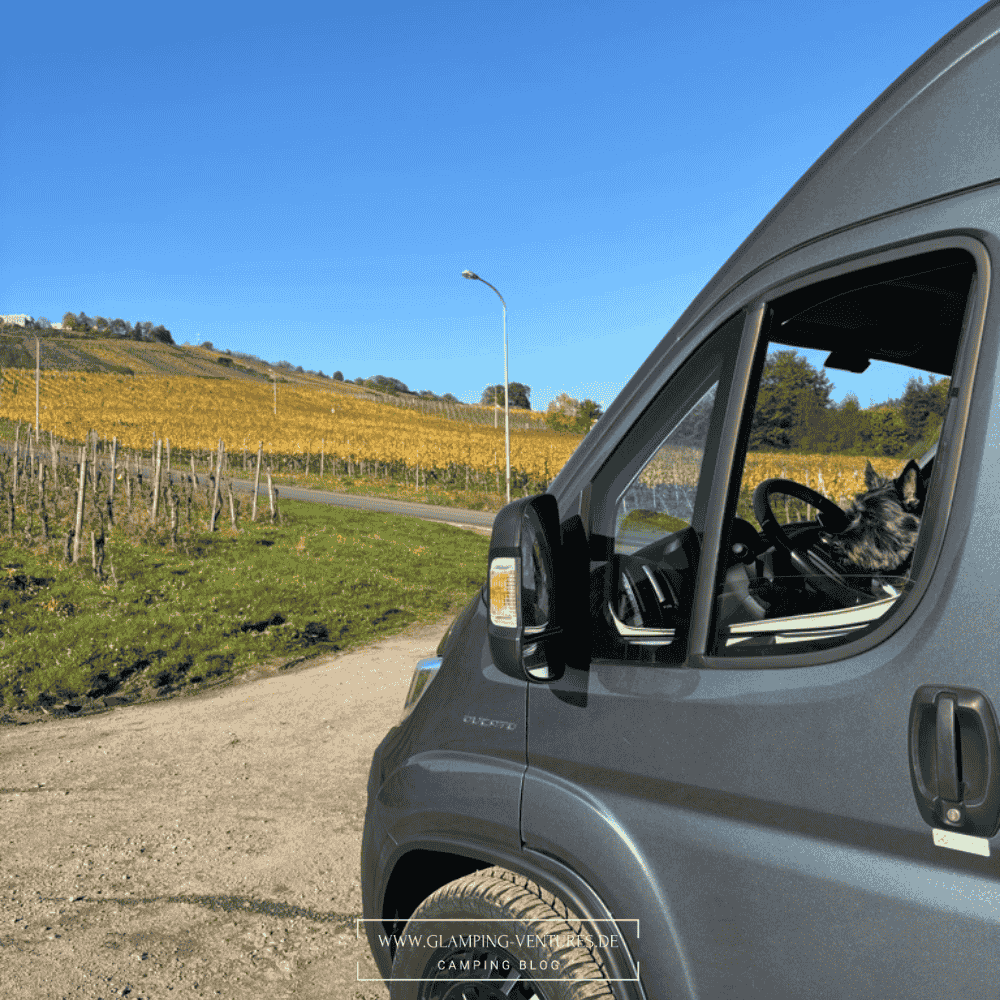Campingurlaub an der Mosel im November mit buntem Laub