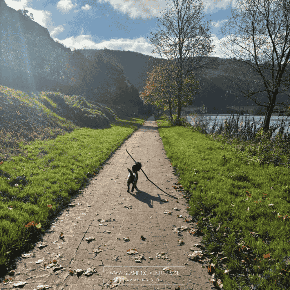 Mit dem Hund spazieren an der Mosel beim Campen