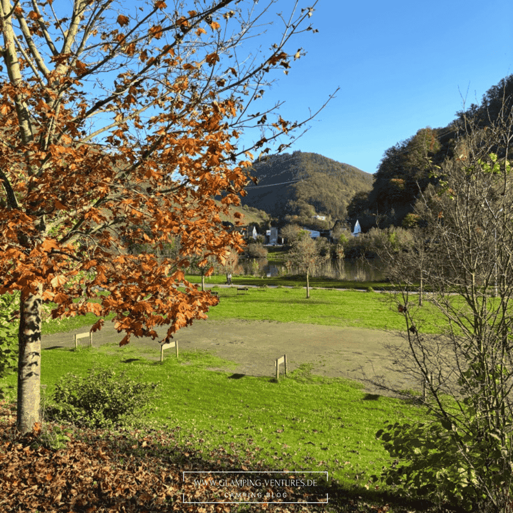 Stellplatz auf Terrassen mit direktem Blick auf die Mosel