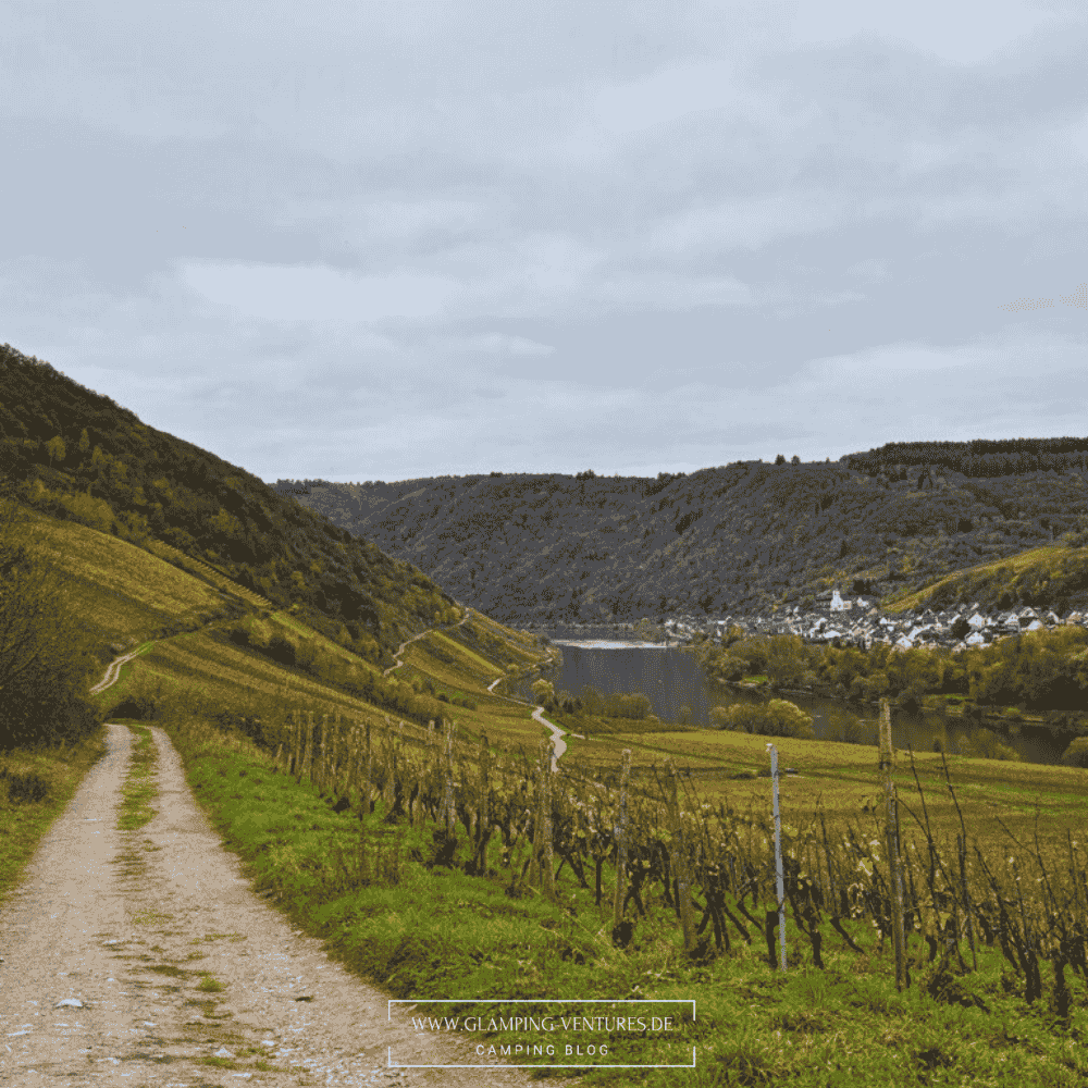 Wandern mit direktem Blick auf die Weinberge und Mosel