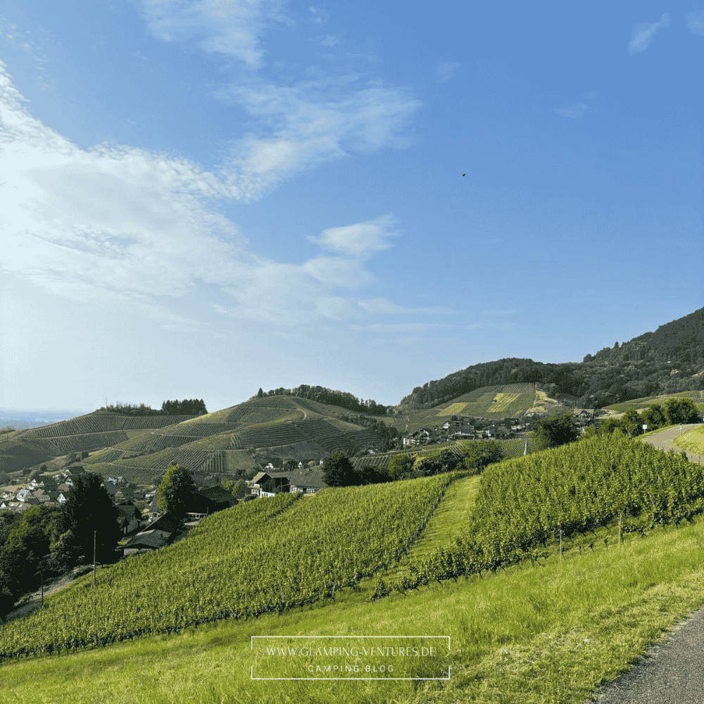 Ruhiger Stellplatz im Schwarzwald mit Blick auf bewaldete Hügel Weinberge