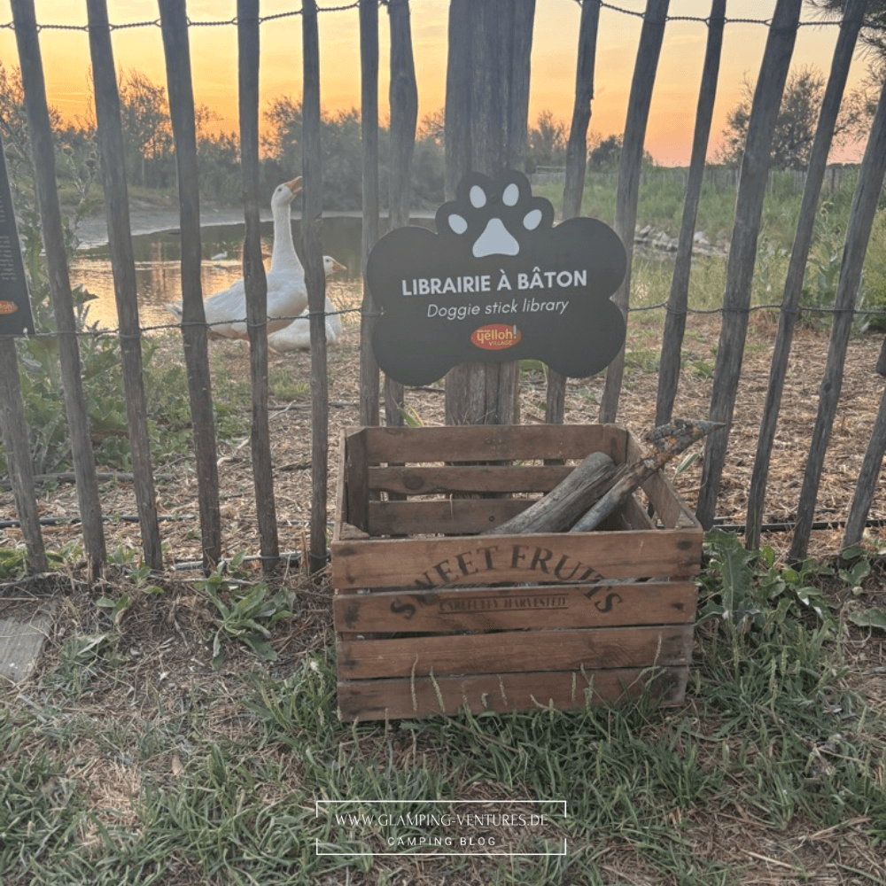 Hundebibliothek auf einem Hundefreundlichen Campingplatz