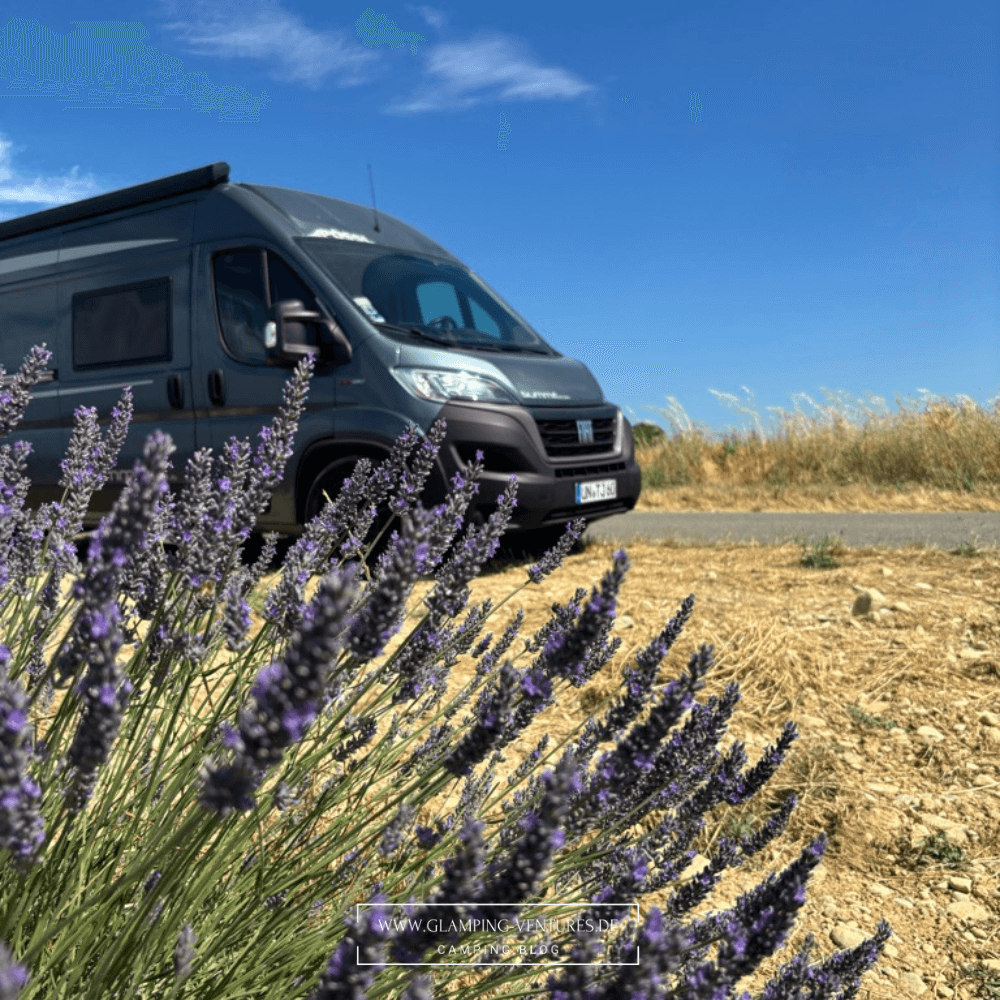 Ein Wohnmobil am Rand eines Lavendelfeldes in der Provence