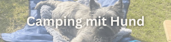 Tipps & Erfahrungen für entspannte Reisen mit Vierbeinern