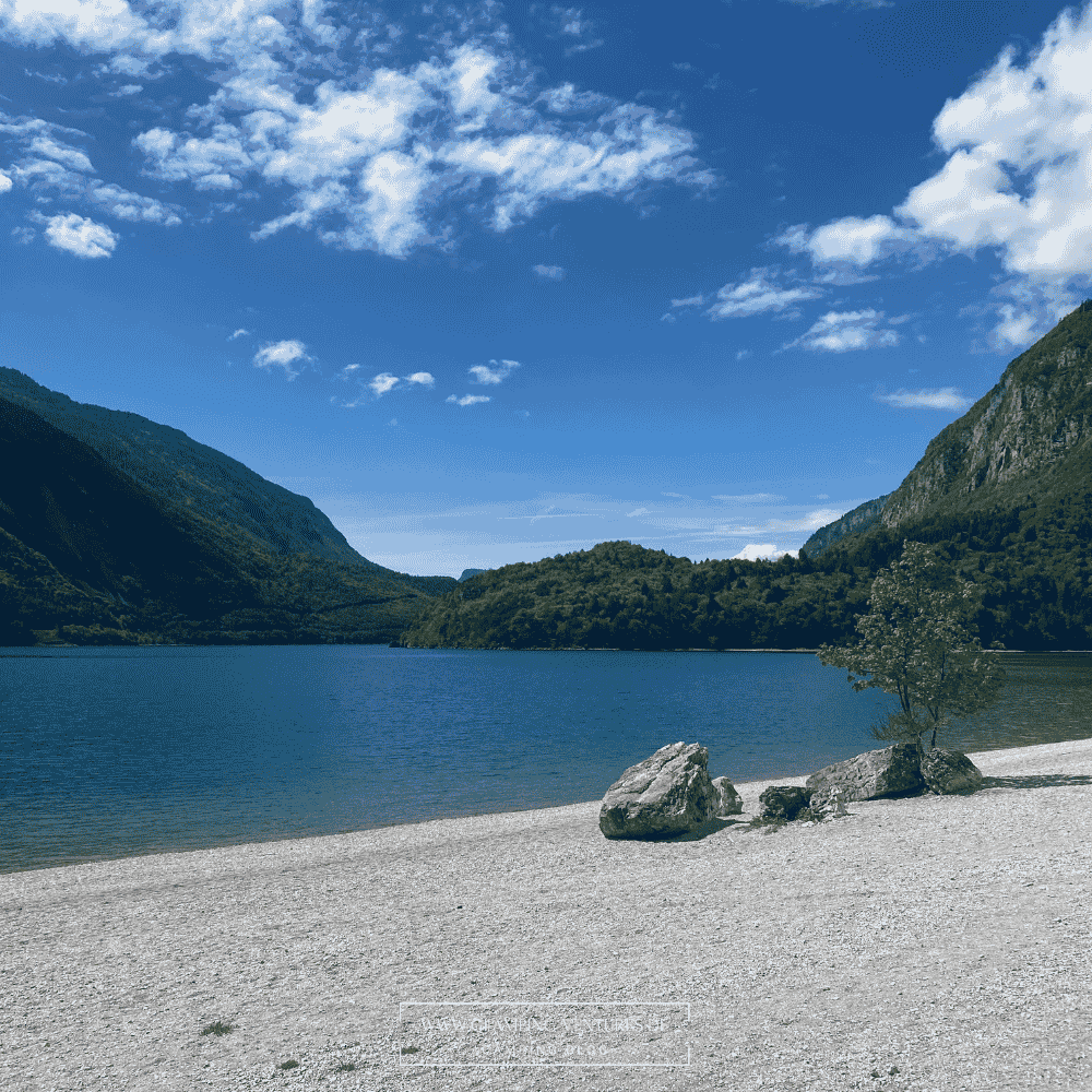 Thermacell schützt zuverlässig vor Mücken beim Camping im Sommer
