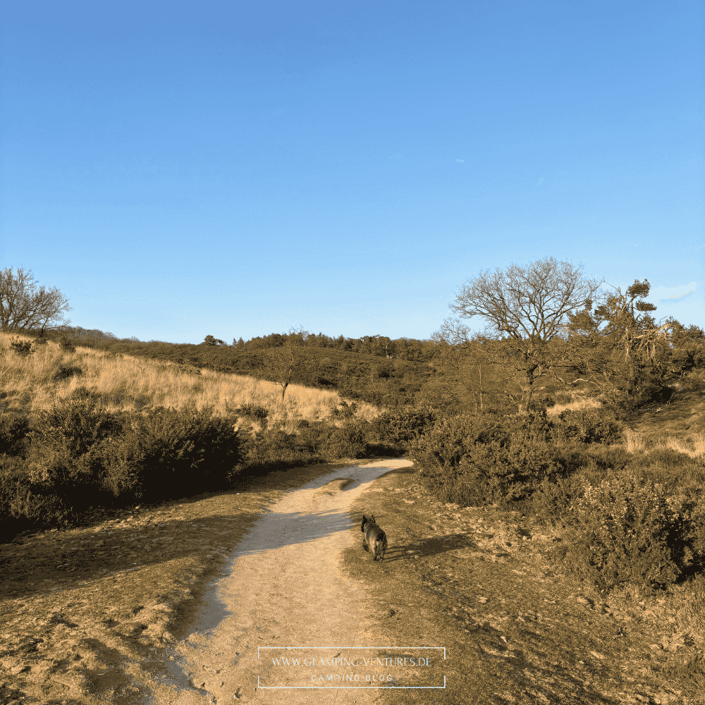 Domoliten im Herbst 